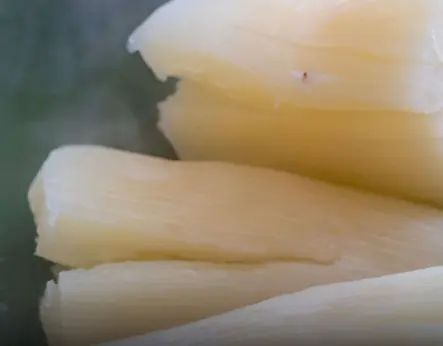 Over 200 People Are Killed By The “World’s Deadliest Food” Every Year, But Almost 500 Million People Still Eat It