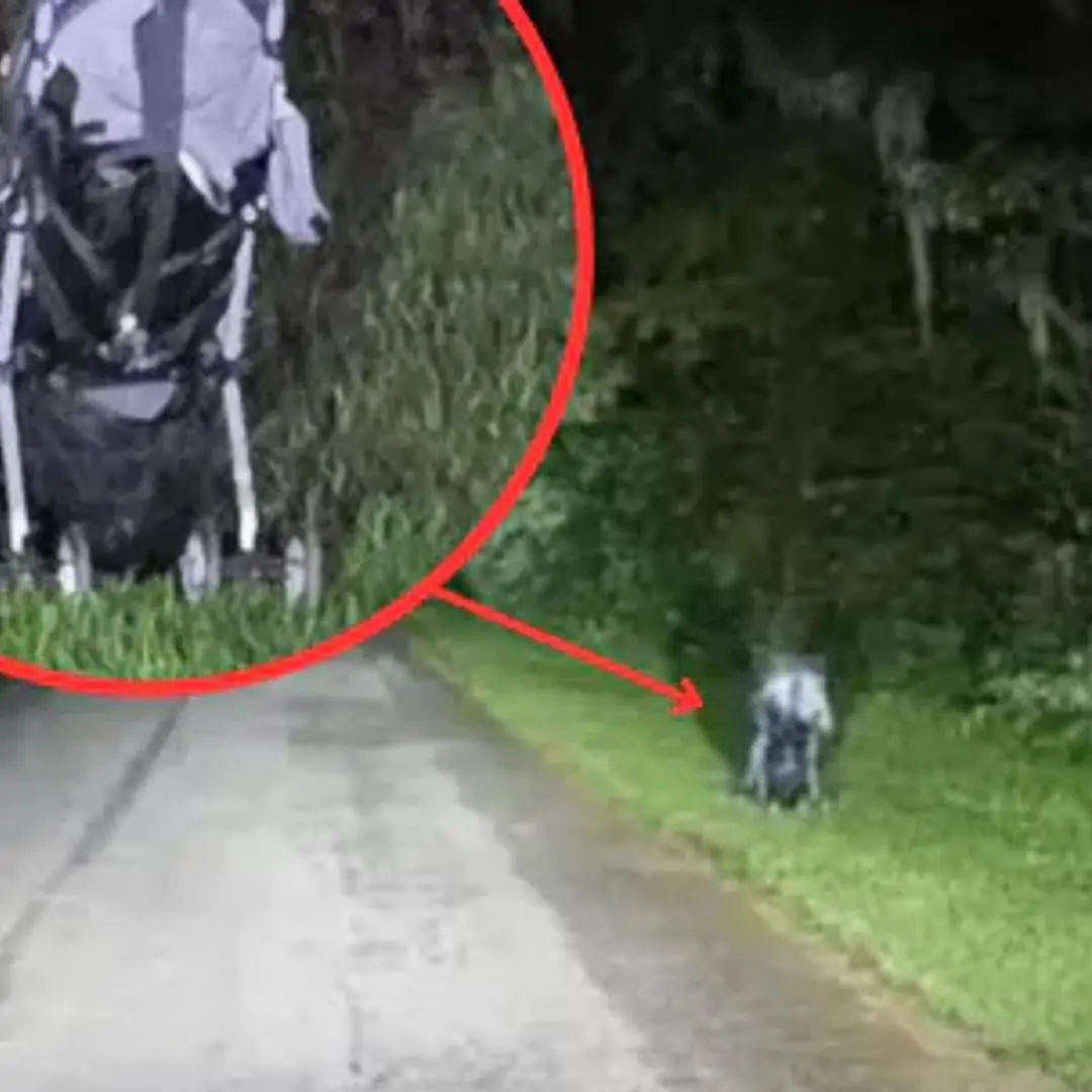 Out at Night and See This Scene? Don’t Get Closer