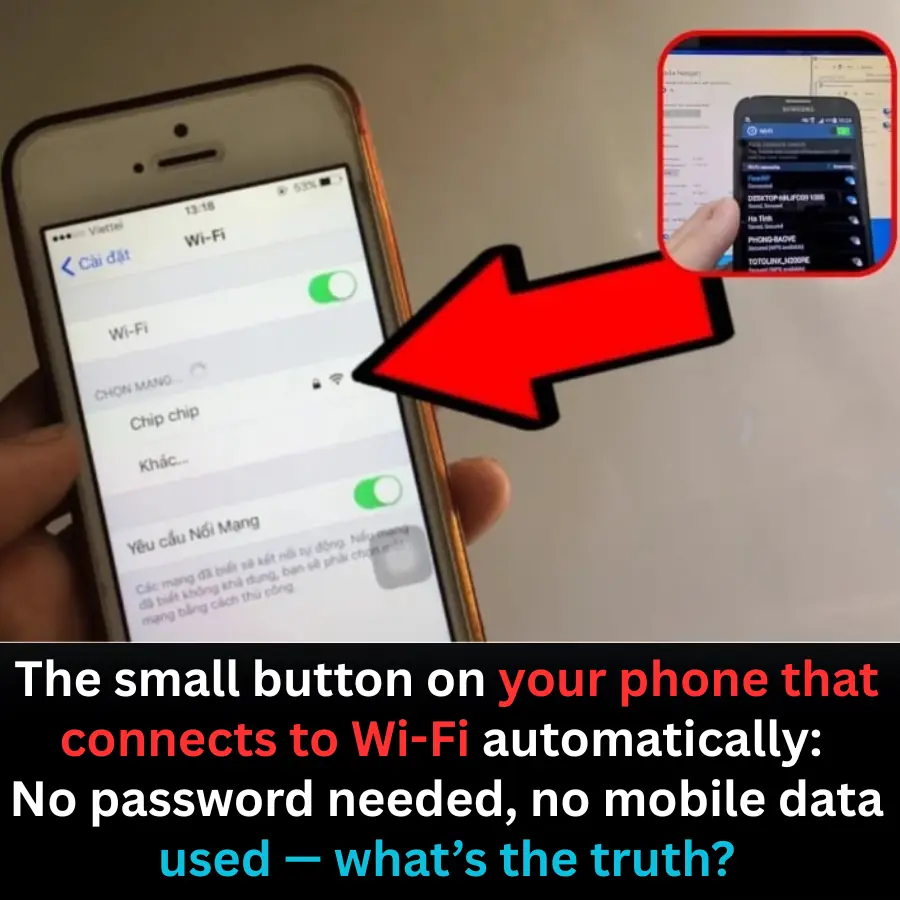 The small button on your phone that connects to Wi-Fi automatically: No password needed, no mobile data used — what’s the truth?