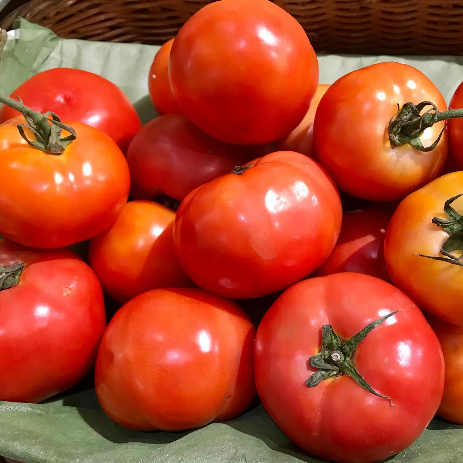 Too Many Tomatoes? The Daily Habit That Could Help — or Harm — Your Health