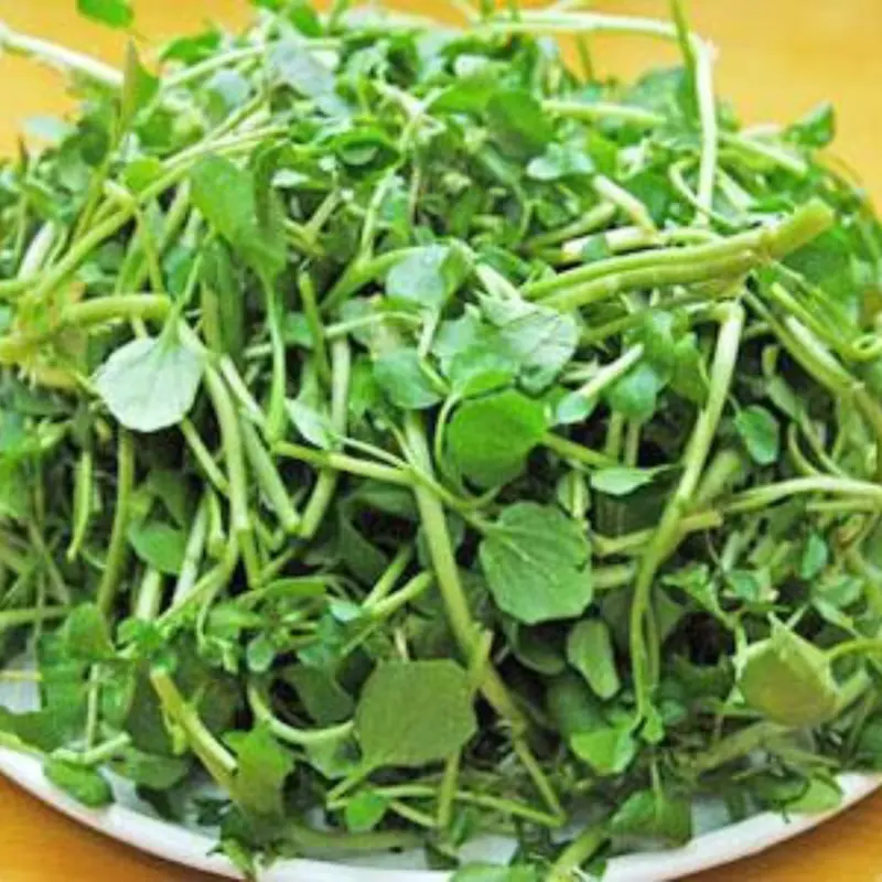 This “Anti-Can.cer King” Vegetable Is Tiny But Its Benefits Are Huge