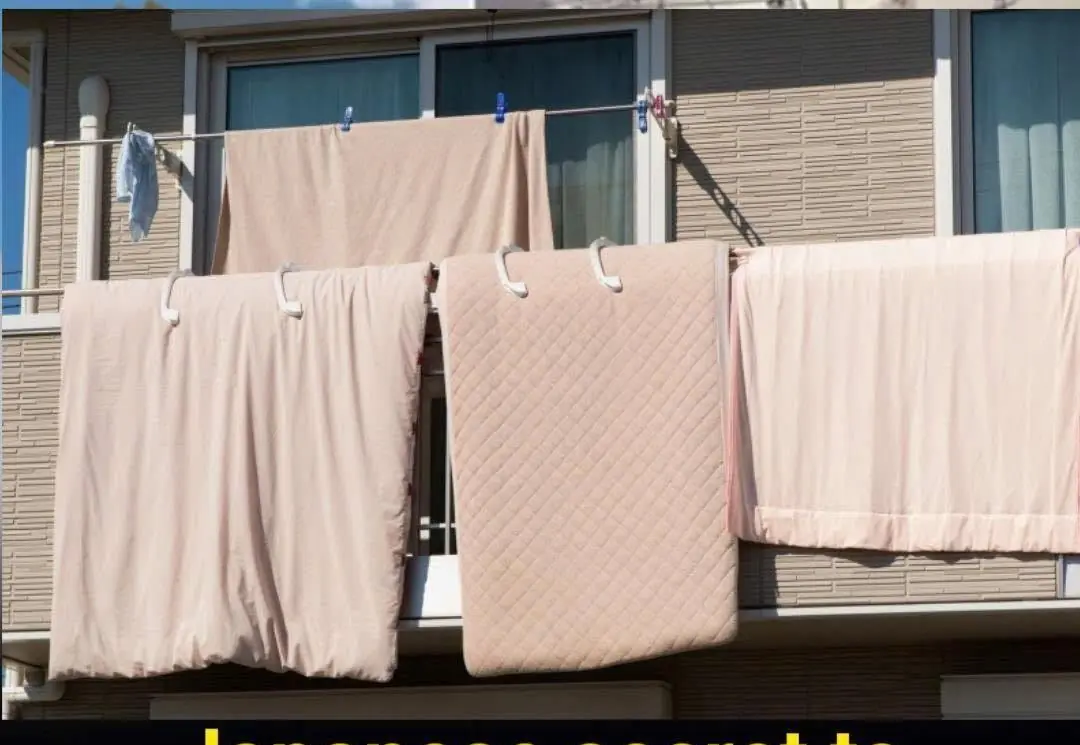 In winter, drying thick clothes is a slow process—and sometimes, they end up smelling bad.