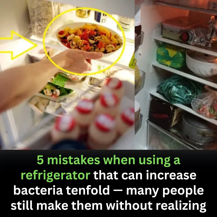 5 Common Refrigerator Mistakes That Can Multiply Bacteria by 10 Times