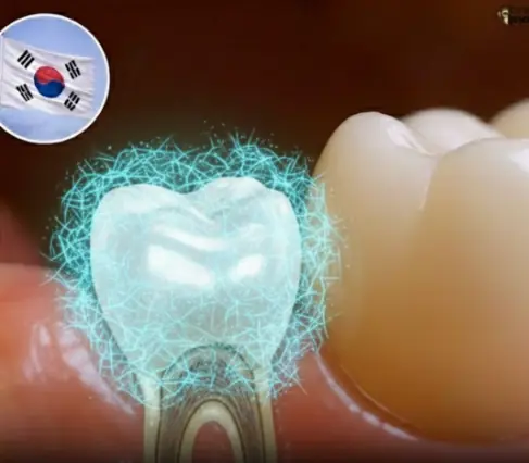 Revolutionary Microneedle Patch Offers Hope for Natural Tooth Regrowth