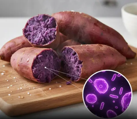 Anthocyanin-containing purple-fleshed potatoes suppress colon tumorigenesis via elimination of colon cancer stem cells