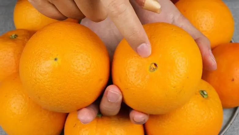 When buying oranges, should you choose ones with a big or small “navel”? Here are 4 tips to pick super-sweet oranges