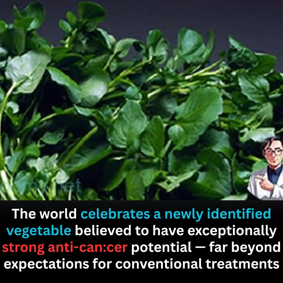 Global Attention on a Vegetable Studied for Powerful Anti-Can.cer Properties