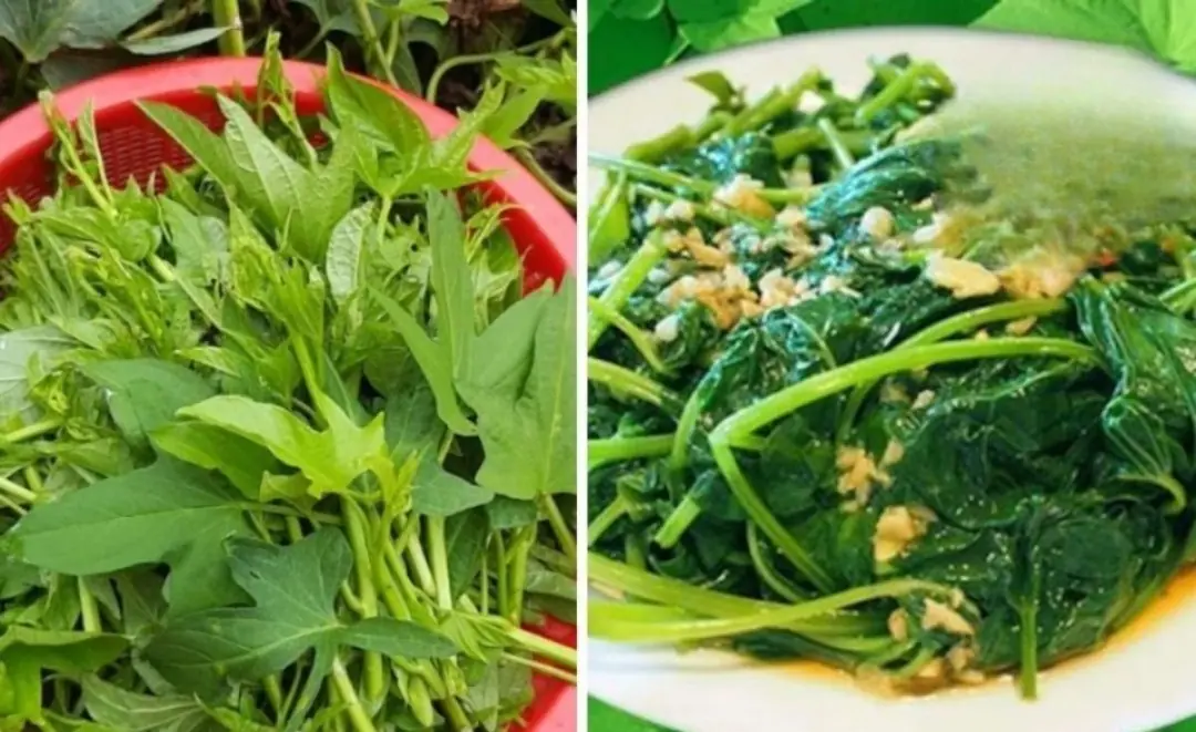 Many people are still unaware of this vegetable