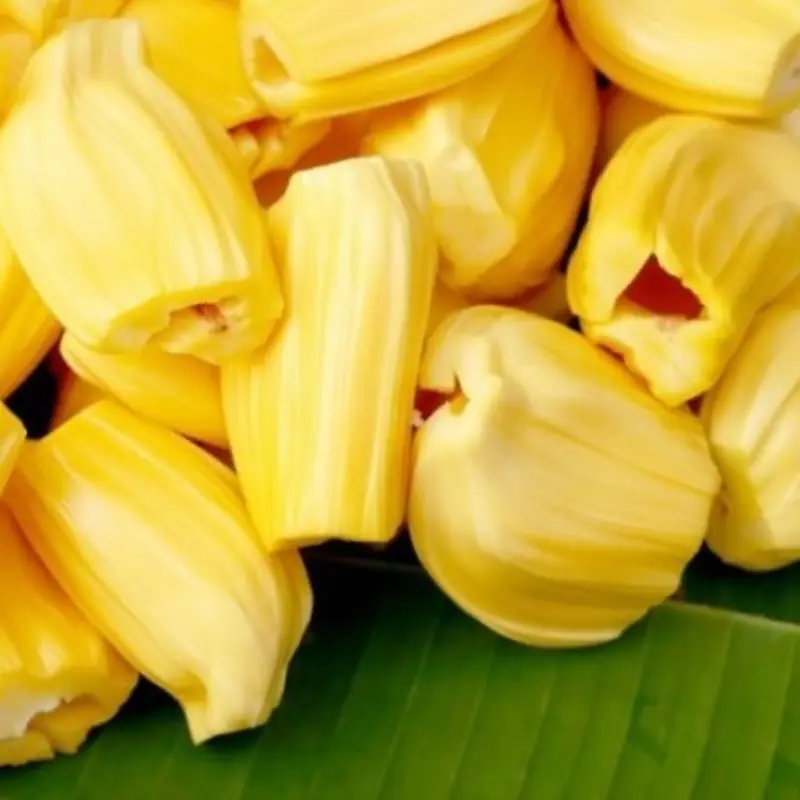 Doctors Warn: If You’re One of These 5 People, Stay Away From Jackfruit