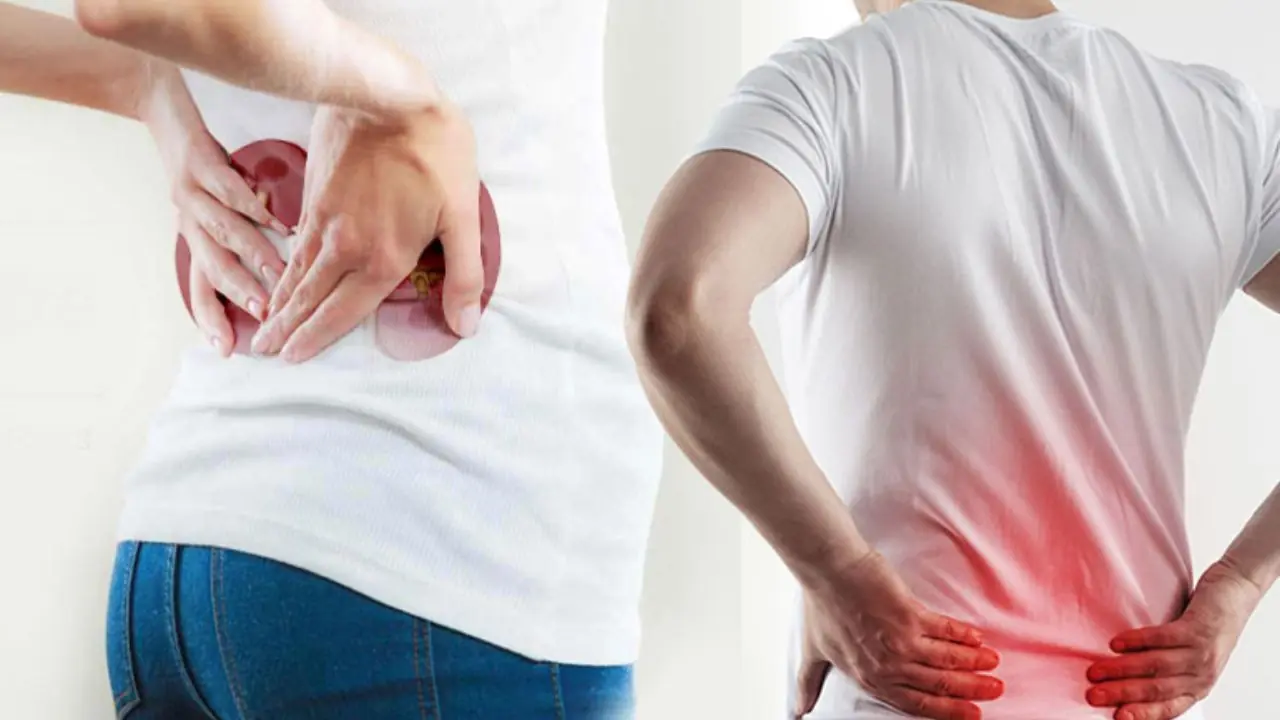 Early signs of kid.ney dis.ease and How to protect your kid.neys