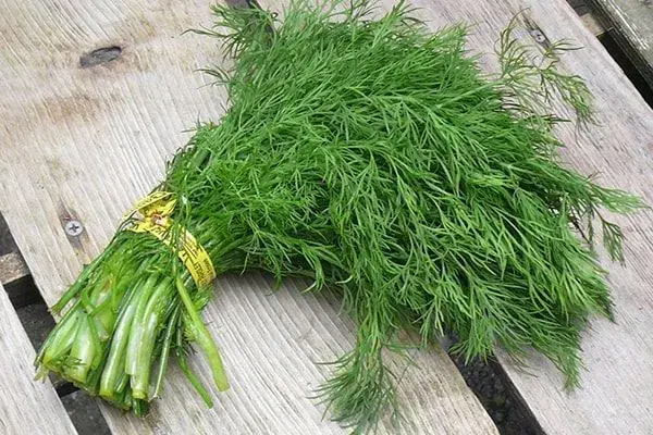 Dill: A Cheap Herb Often Called a “Green Medi.cine” for the Body — But Not Everyone Can Eat It