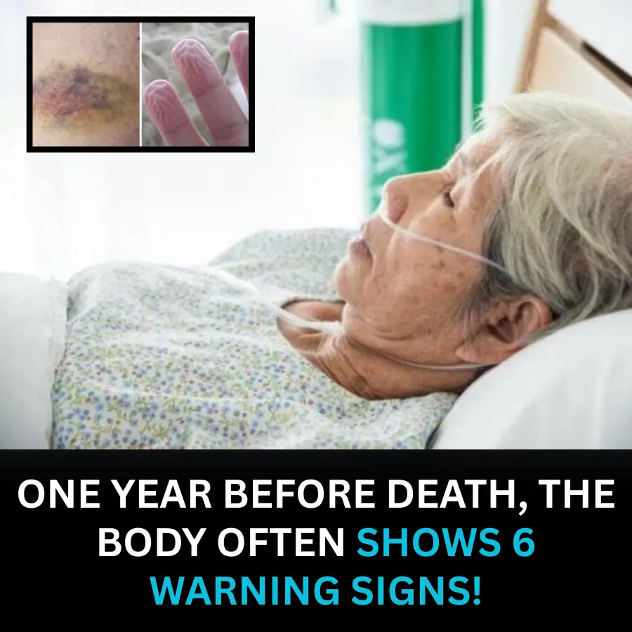 6 Warning Signs the Body May Show About a Year Before Death