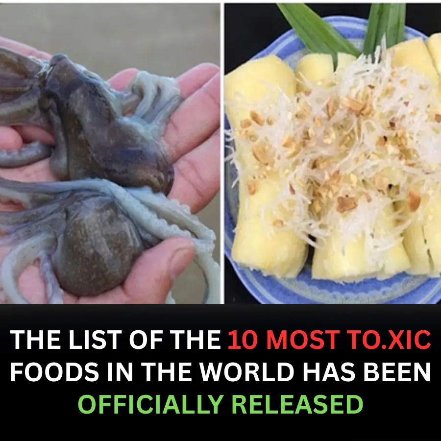 Revealed: The 10 Most Toxic Foods in the World — Some Are Shockingly Familiar
