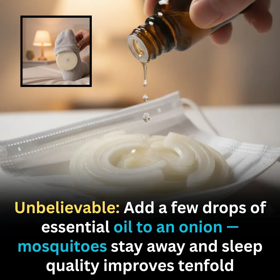 Add a Few Drops of Oil to an Onion: A Simple Home Trick That Repels Mosquitoes and Improves Sleep