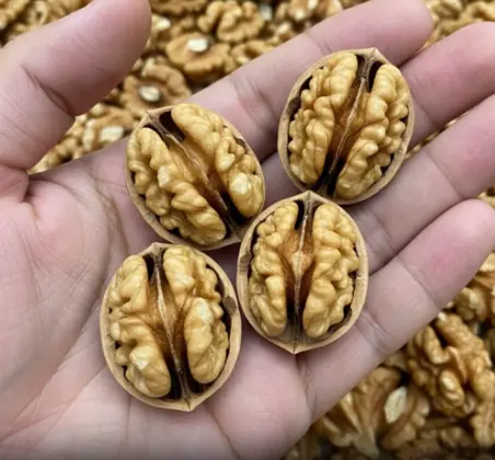Proven Health Benefits of Walnuts, How Many to Eat, and More (Science Based)