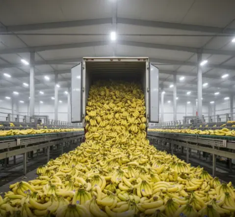 Play Experts reveal that eating bananas in the morning cause