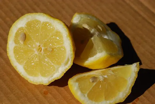 Everyone throws away lemon seeds—few realize they have such remarkable benefits