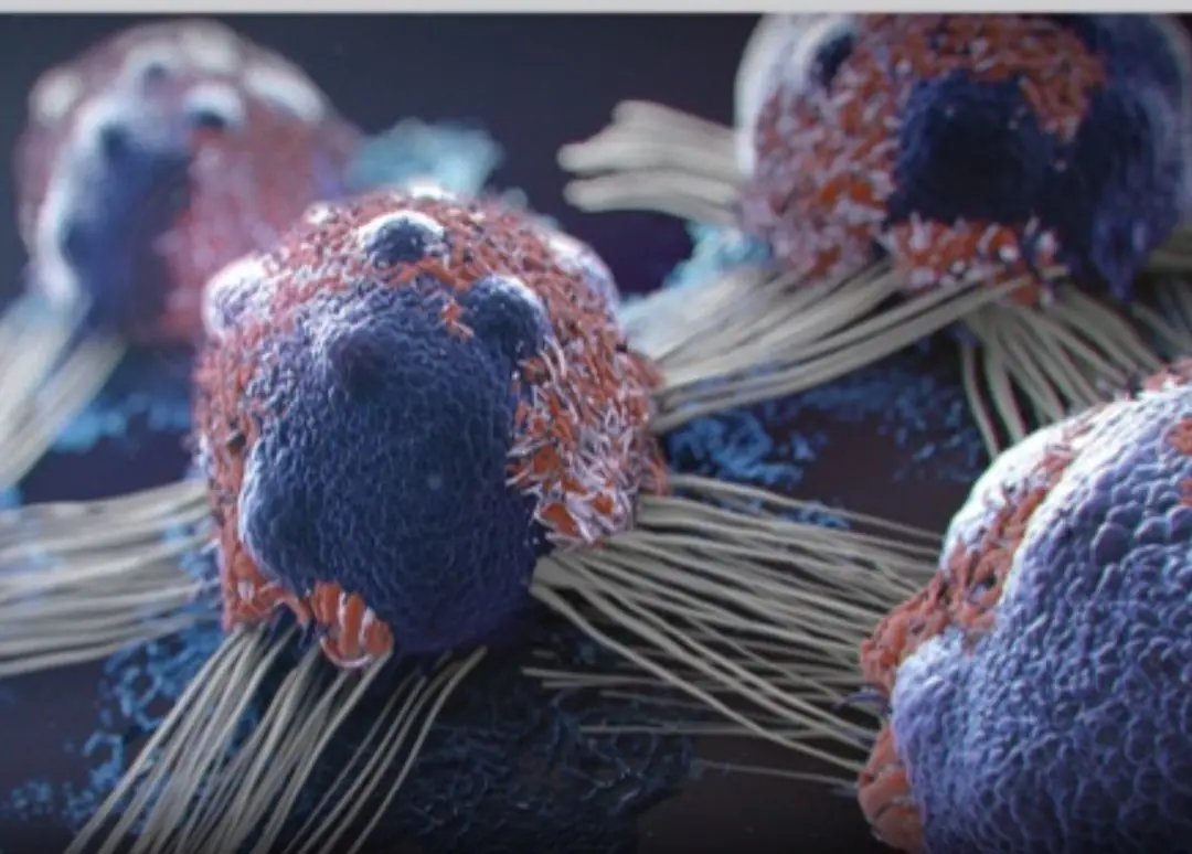 Can Certain Foods Help Your Body Fight Can.cer? What Science Really Says