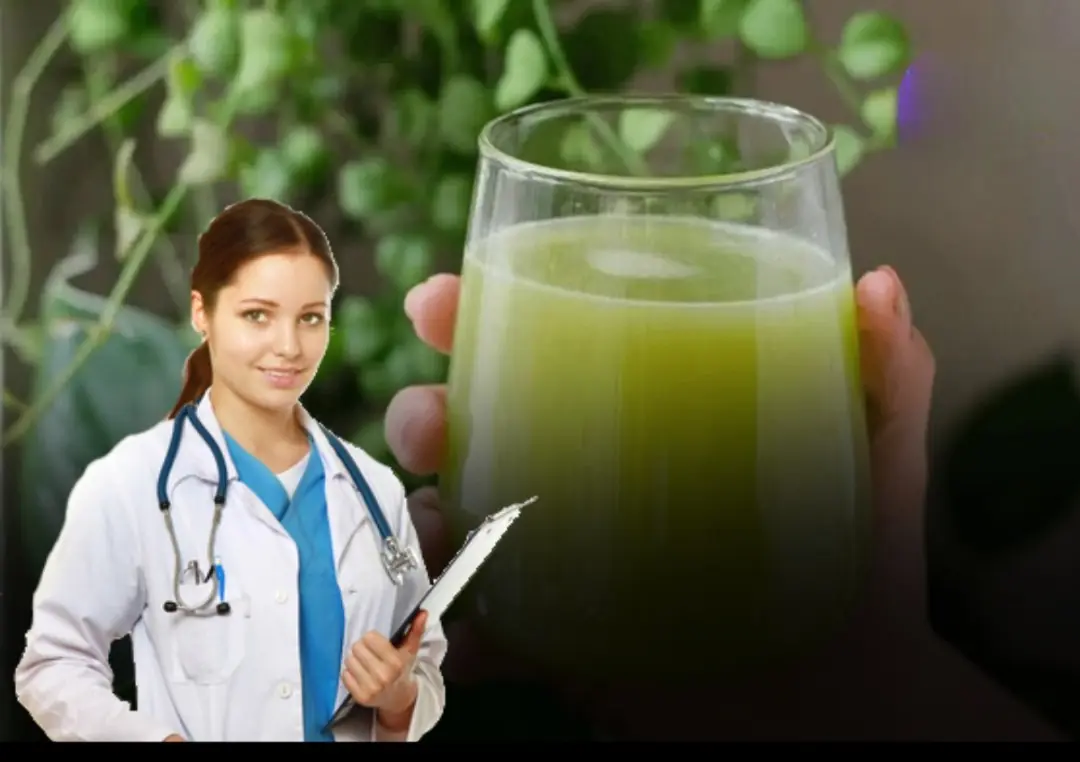 Stop buying pills at the pharmacy, because with chayote, you'll eliminate knee pain