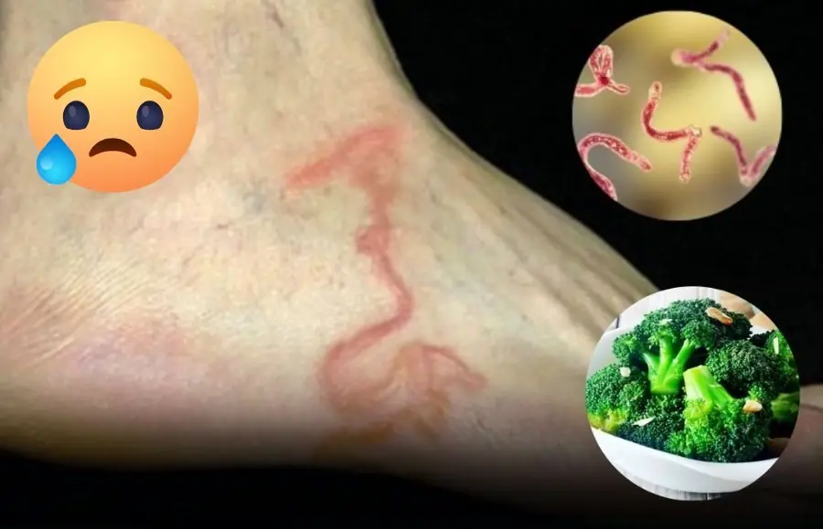 4 Vegetables You Should Never Eat Raw — They Could Do More Harm Than Good!