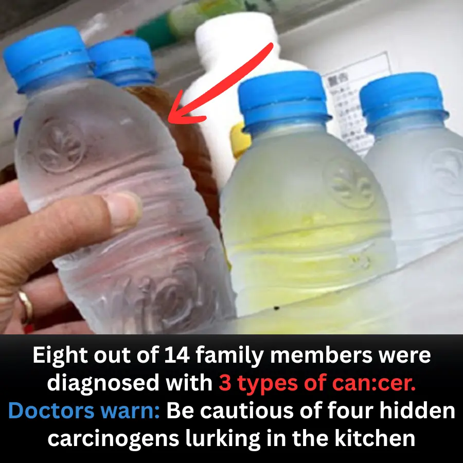Doctors Warn After Shocking Family Case: 4 Hidden Carcinogens Commonly Found in Kitchens