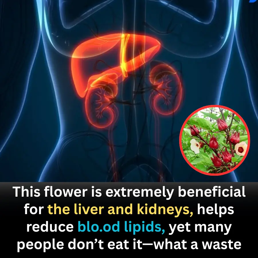 An Overlooked Flower That Supports Liver and Kidney Health