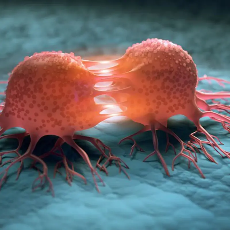 Breakthrough: Scientists discover a way to turn can.cer cells back into normal cells