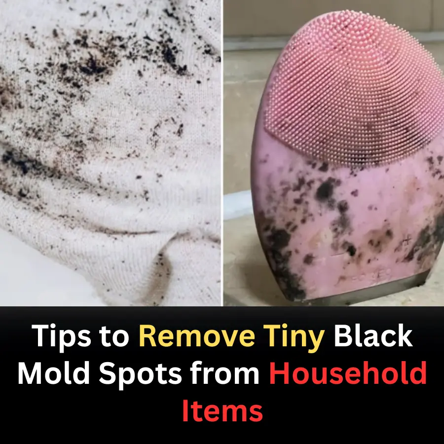 How to Effectively Remove Black Mold Spots from Household Items