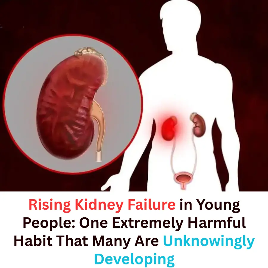 Kidney Failure Is Increasing Among Young People: A Dangerous Habit Many Ignore
