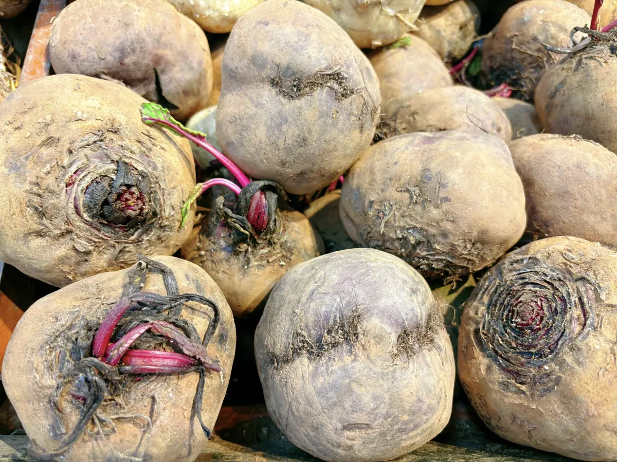 5 types of vegetables that help detoxify and lower liver enzymes