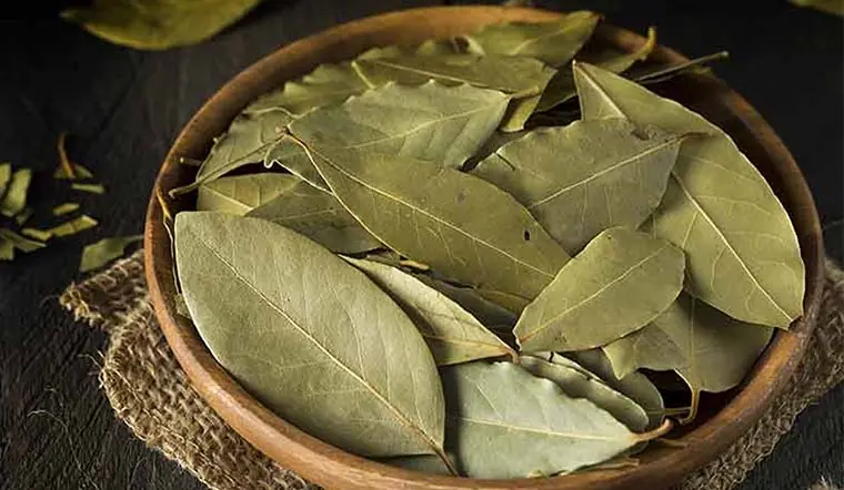 Boiled Bay Leaves and Cloves: A Powerful Natural Elixir for Better Health