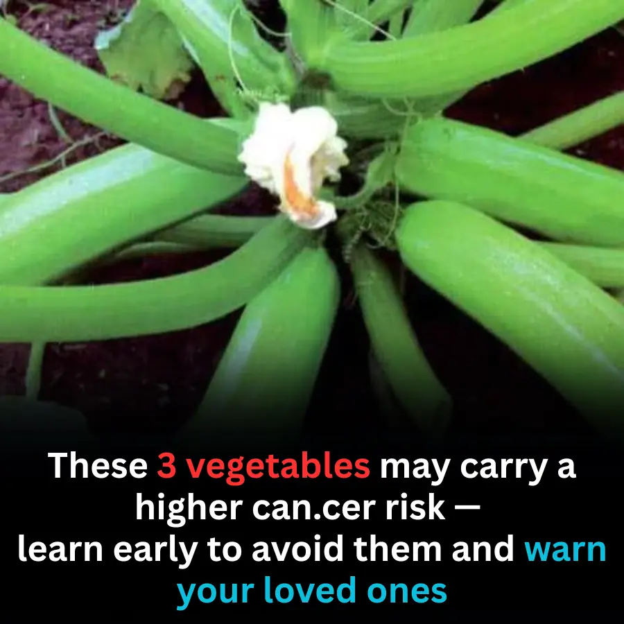 3 Vegetables That May Increase Can.cer Risk If Consumed Improperly — What You Need to Know