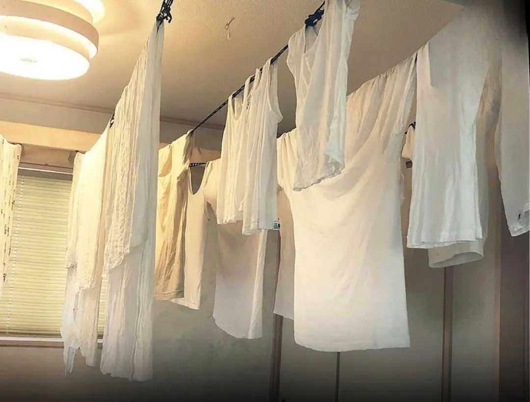 Japan’s hidden laundry technique: dries thick garments fast with 100% success