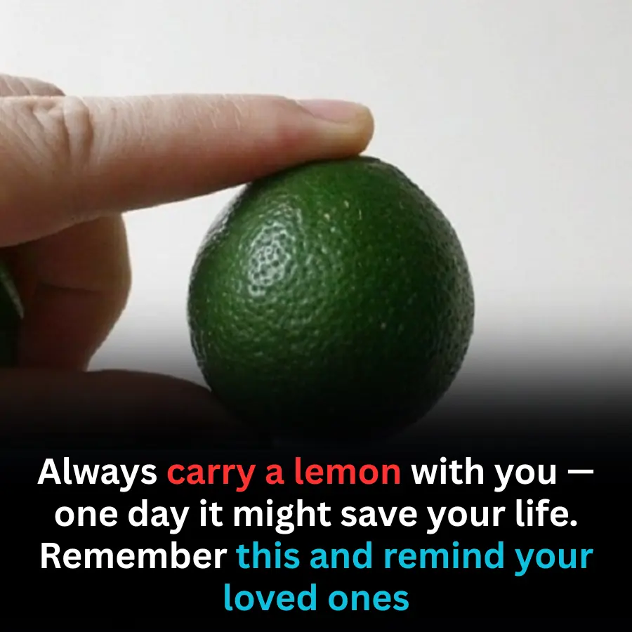 Why Carrying a Lemon Could Save Your Life One Day — A Simple Tip Everyone Should Know