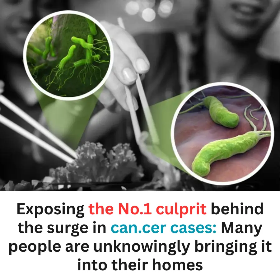 The No.1 Hidden Culprit Behind Rising Can.cer Rates: Many Families Are Unknowingly Exposed