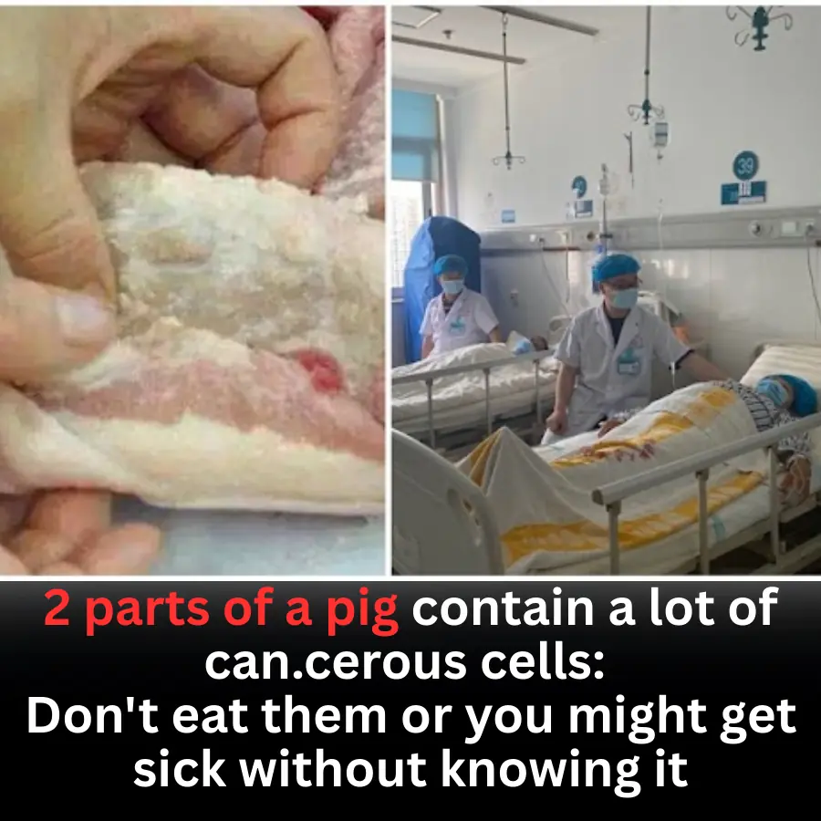 Two Parts of Pork You Should Avoid: Potential Health Risks Many People Overlook