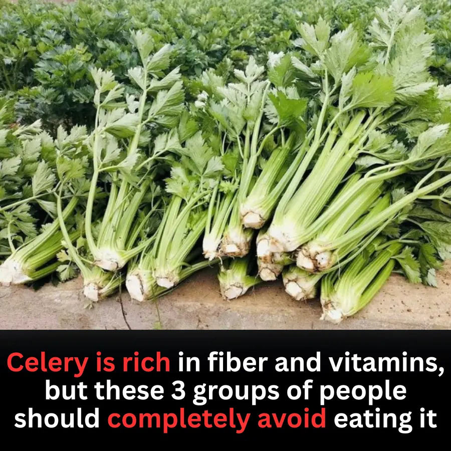 Celery Is Nutritious — But Not Suitable for Everyone
