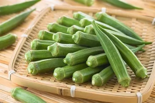 Okra has many benefits, yet these 4 groups of people shouldn't eat it