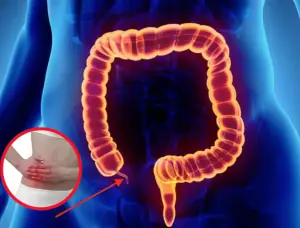 5 signs of app.endi.citis you should not ignore