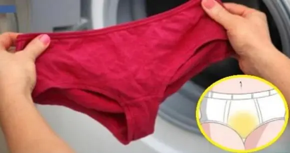 At the end of the day, if women check their underwear and notice these 4 signs, it may indicate that can.cer is silently “gnawing away” at the body