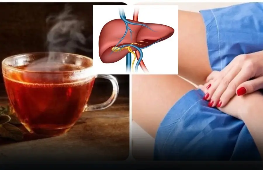 The liver is an important detoxification and metabolic organ of the body.