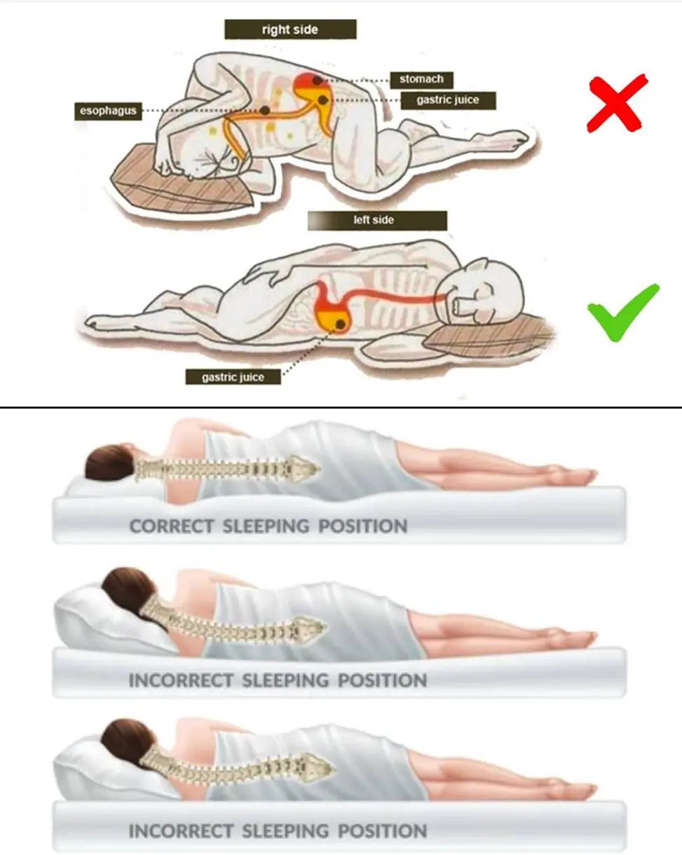 How Sleeping on Your Left Side Supports Brain, Digestive, and Lymphatic Health