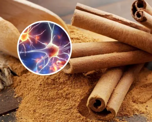 Cinnamon and Neuroprotection: Evidence for Anti-Alzheimer’s Mechanisms