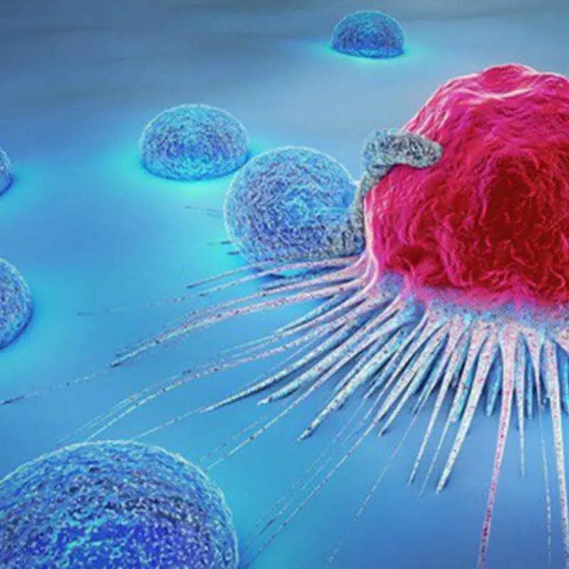 These 7 foods may help your body defend against can.cer, here’s why.