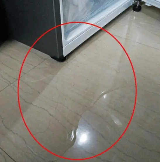 Fridge leaking water: Don't rush to call a technician, just do this to keep your fridge running smoothly without spending money