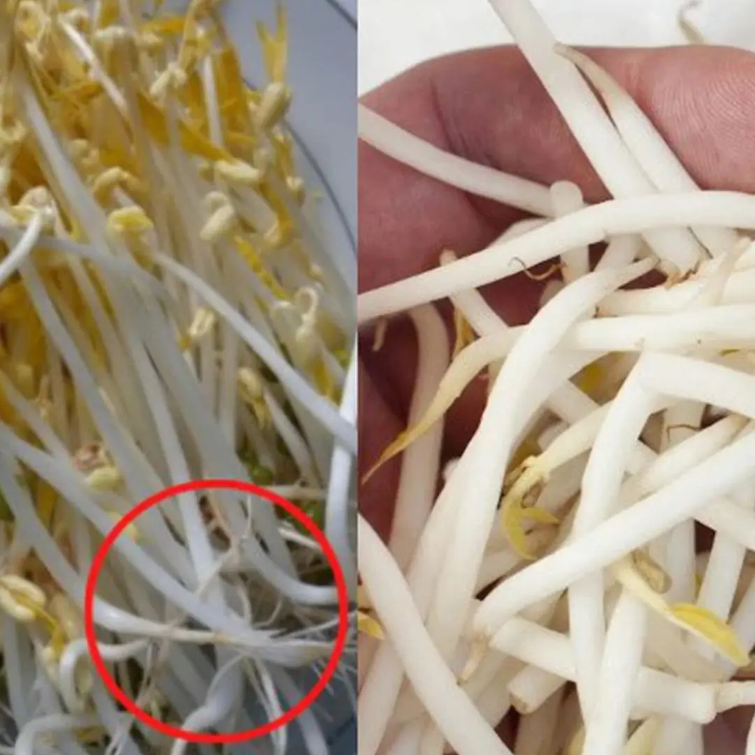 Vegetables listed as can.cer -causing that many people still eat, should be stopped immediately