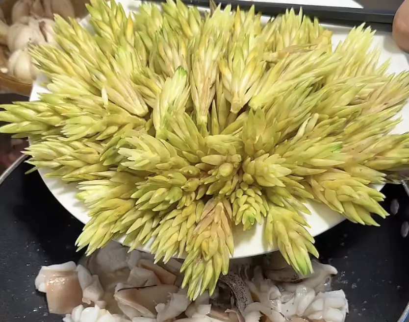 A Flower Once Thought Useless Turns Out to Be a Fragrant, Delicious Dish—Now Going Viral