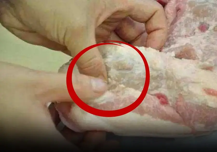 Even boiling won’t save it: this part of pork should never be eaten