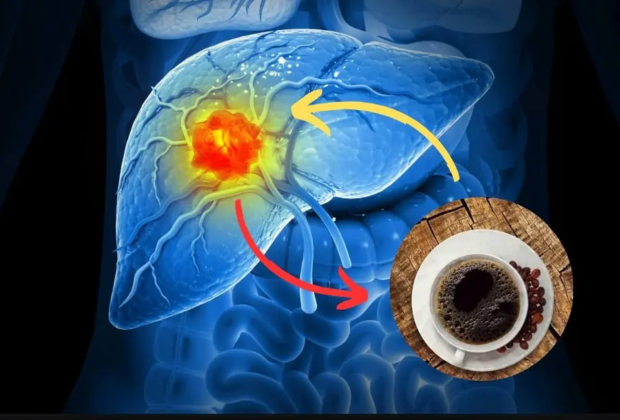 Coffee causes liver can.cer? Scientists say the truth is the exact opposite…