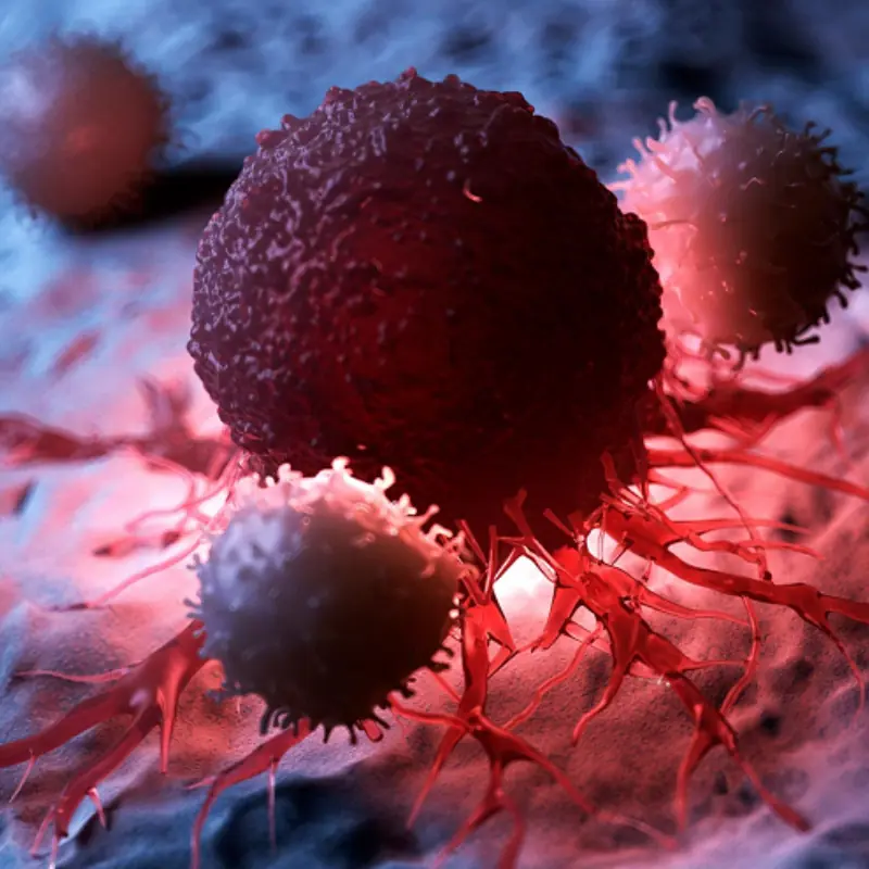 Warning Symptoms That Could Indicate Can.cer Is Forming